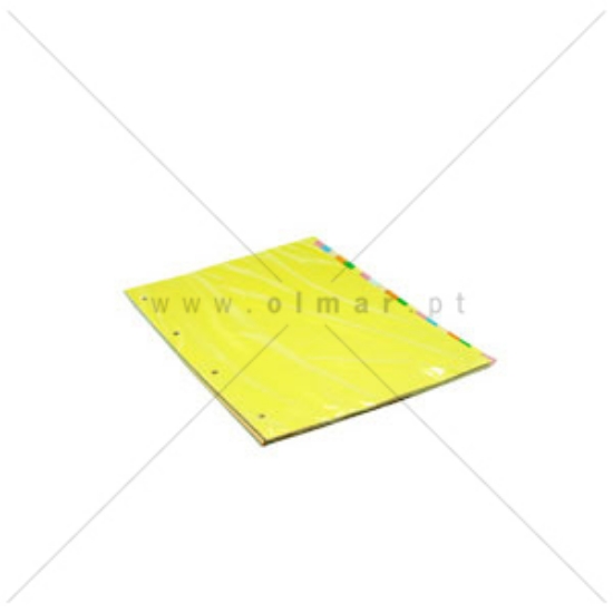 Imagem de SEPARADOR CARTOLINA A4 20 POSIÇÕES CORES