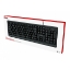 Imagem de TECLADO TRUST PRIMO (24142)