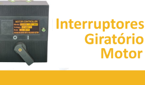 Imagem para a categoria Interruptores Giratório Motor